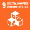 SDG 9 Icon